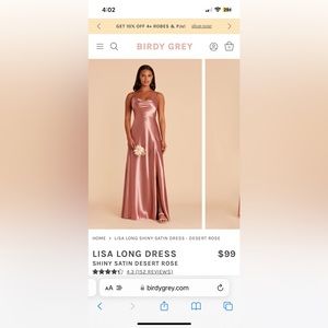 Birdy Grey Lisa Long Dress Satin Desert Rose